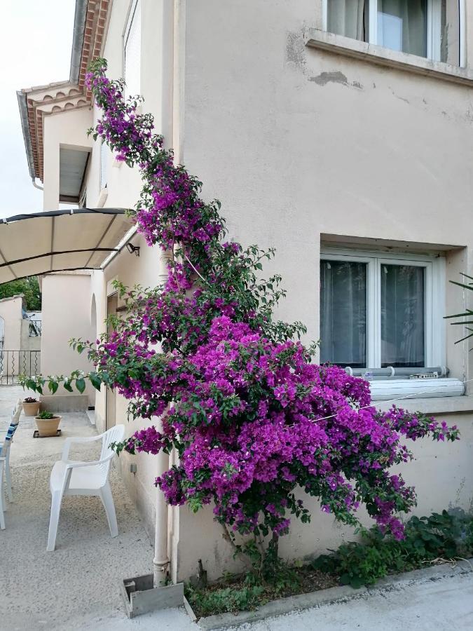 La Maison De 6Fran Appartement 2 Chaleureux Et Calme Ambiance Familiale Valros Buitenkant foto