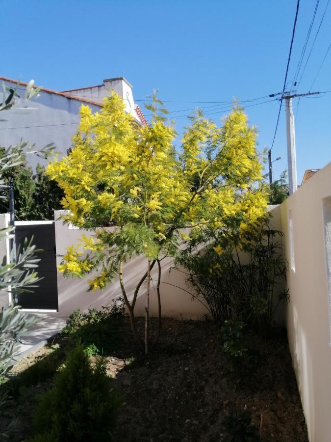 La Maison De 6Fran Appartement 2 Chaleureux Et Calme Ambiance Familiale Valros Buitenkant foto
